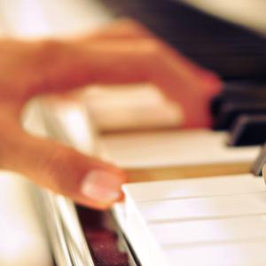 野猫最新二十四小时有效
