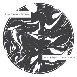 野猫最新二十四小时有效
