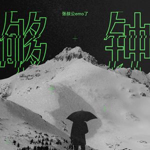 野猫最新二十四小时有效
