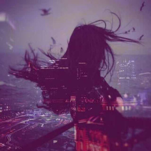 野猫最新二十四小时有效
