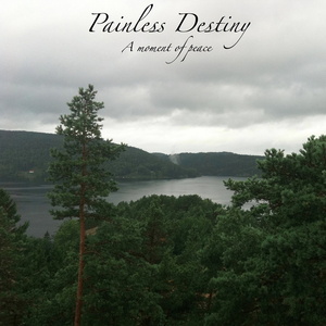 野猫最新二十四小时有效
