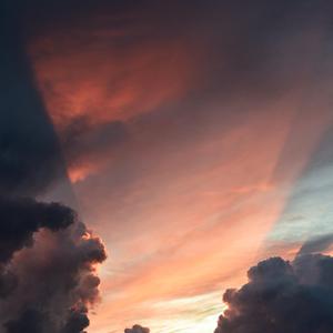 野猫最新二十四小时有效
