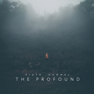 野猫最新二十四小时有效
