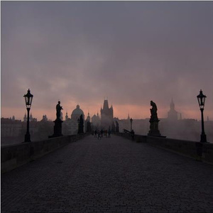 野猫最新二十四小时有效
